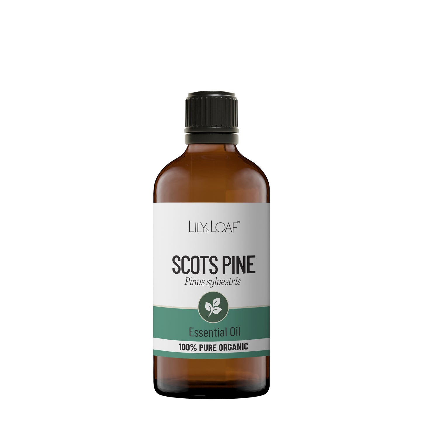 Scots Pine Organic Essential Oil
