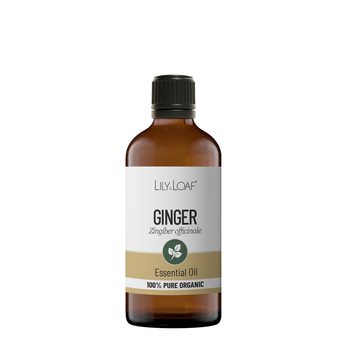 Ginger Organic Essential Oil