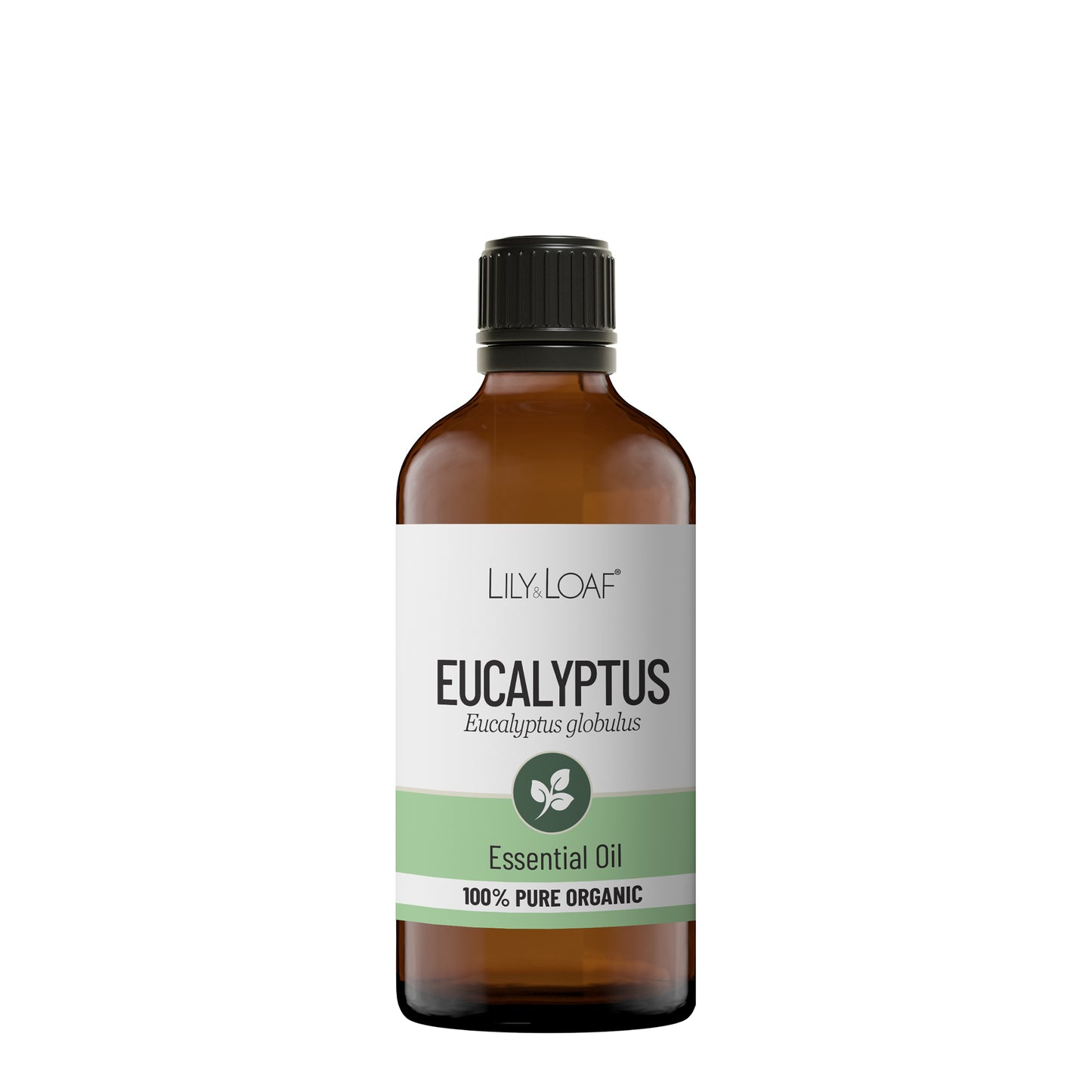 Eucalyptus Organic Essential Oil