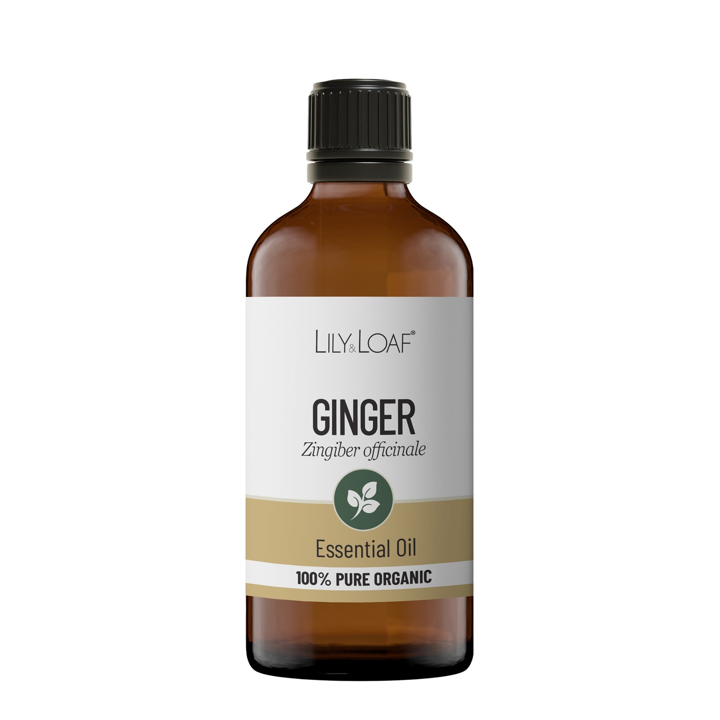 Ginger Organic Essential Oil