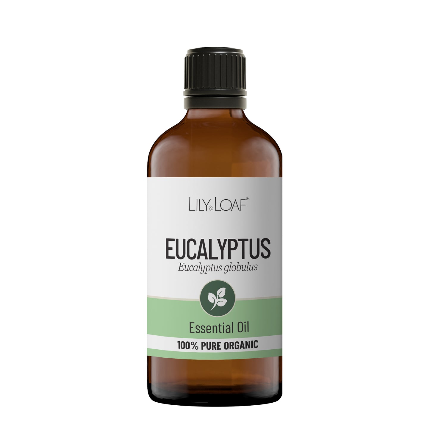 Eucalyptus Organic Essential Oil