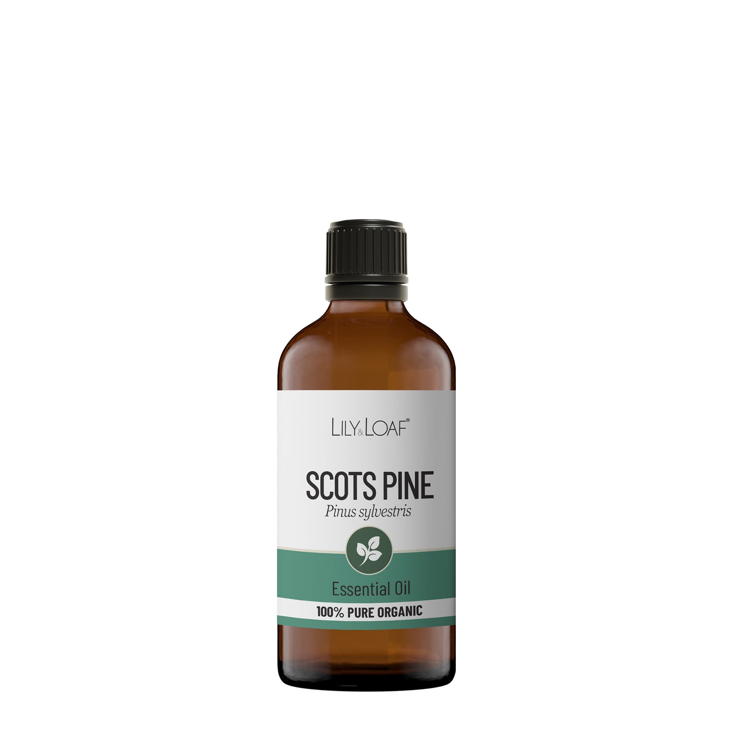 Scots Pine Organic Essential Oil