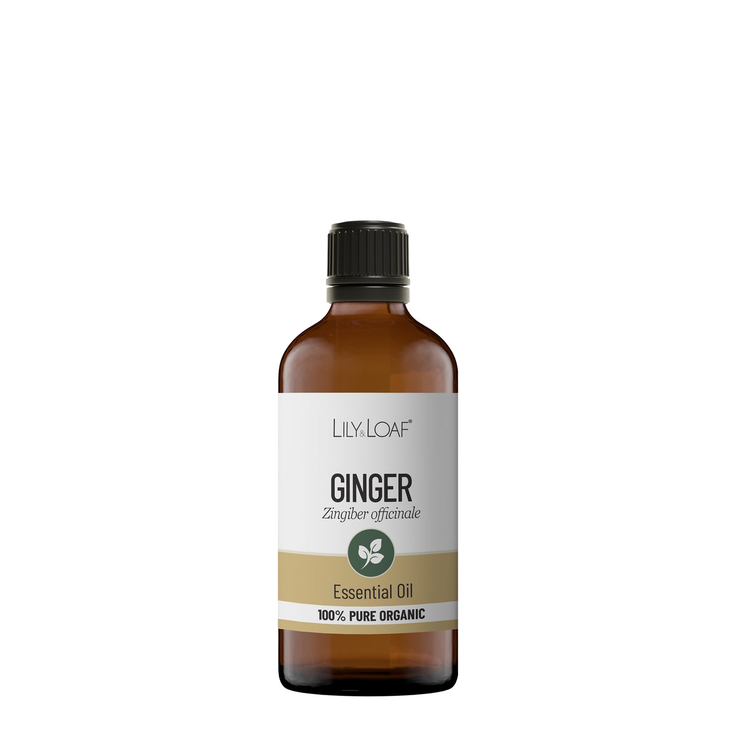 Ginger Organic Essential Oil