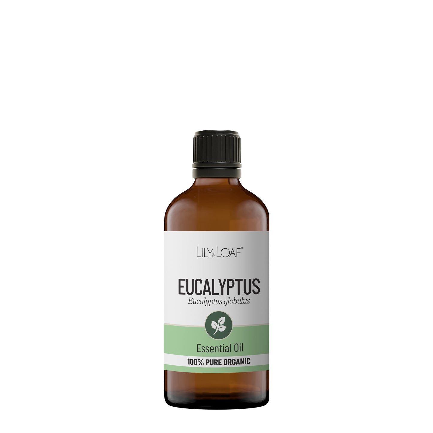 Eucalyptus Organic Essential Oil