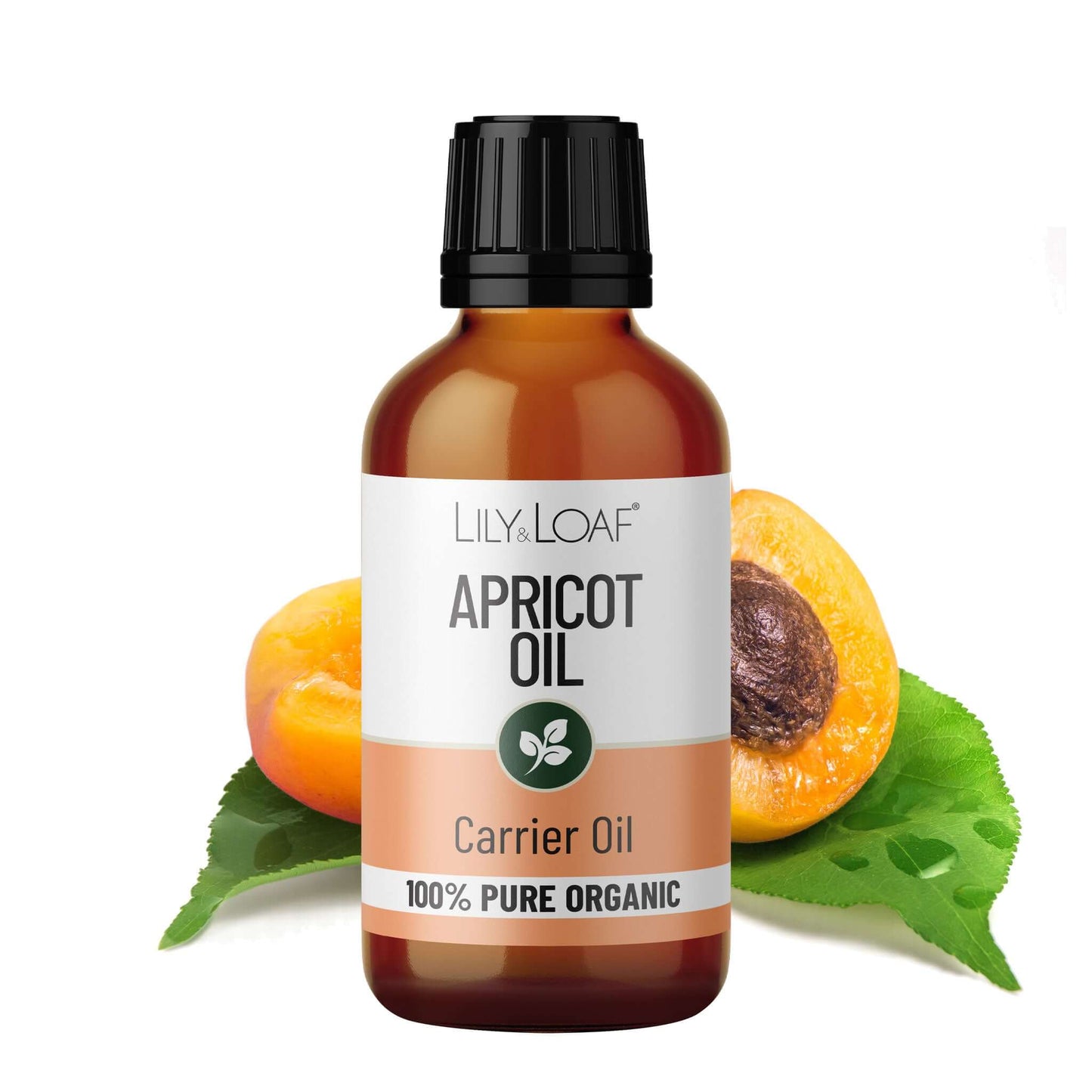 Apricot Organic Carrier Oil