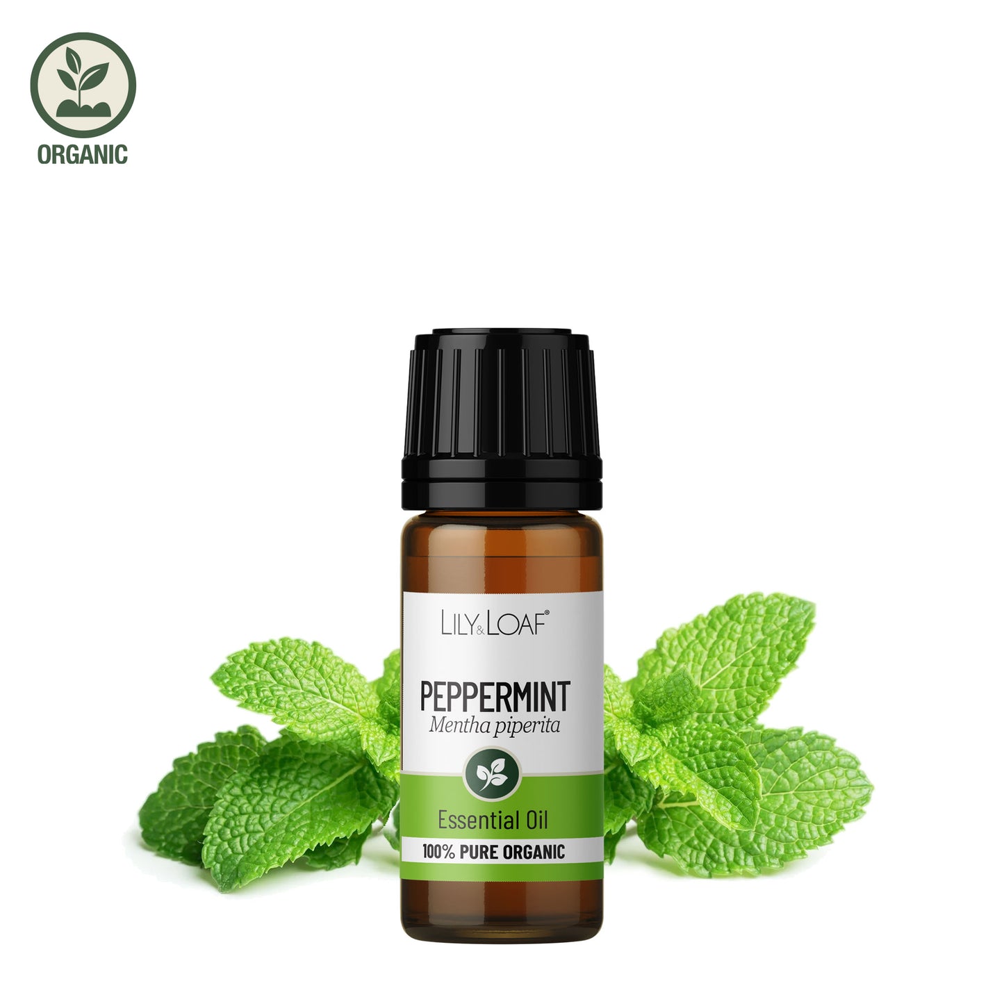 Peppermint Organic Essential Oil