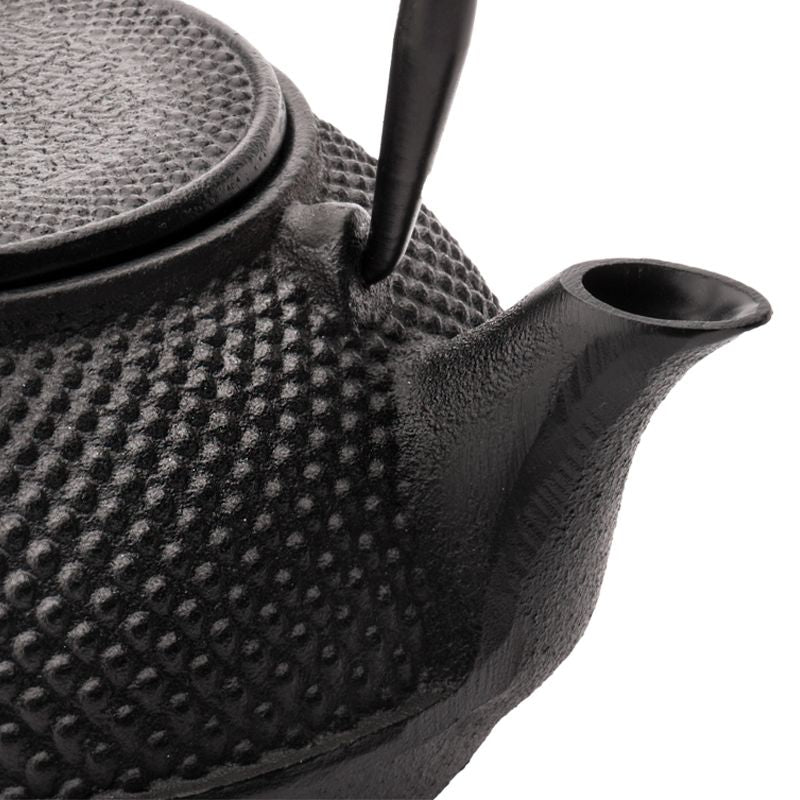 Jang Cast Iron Teapot