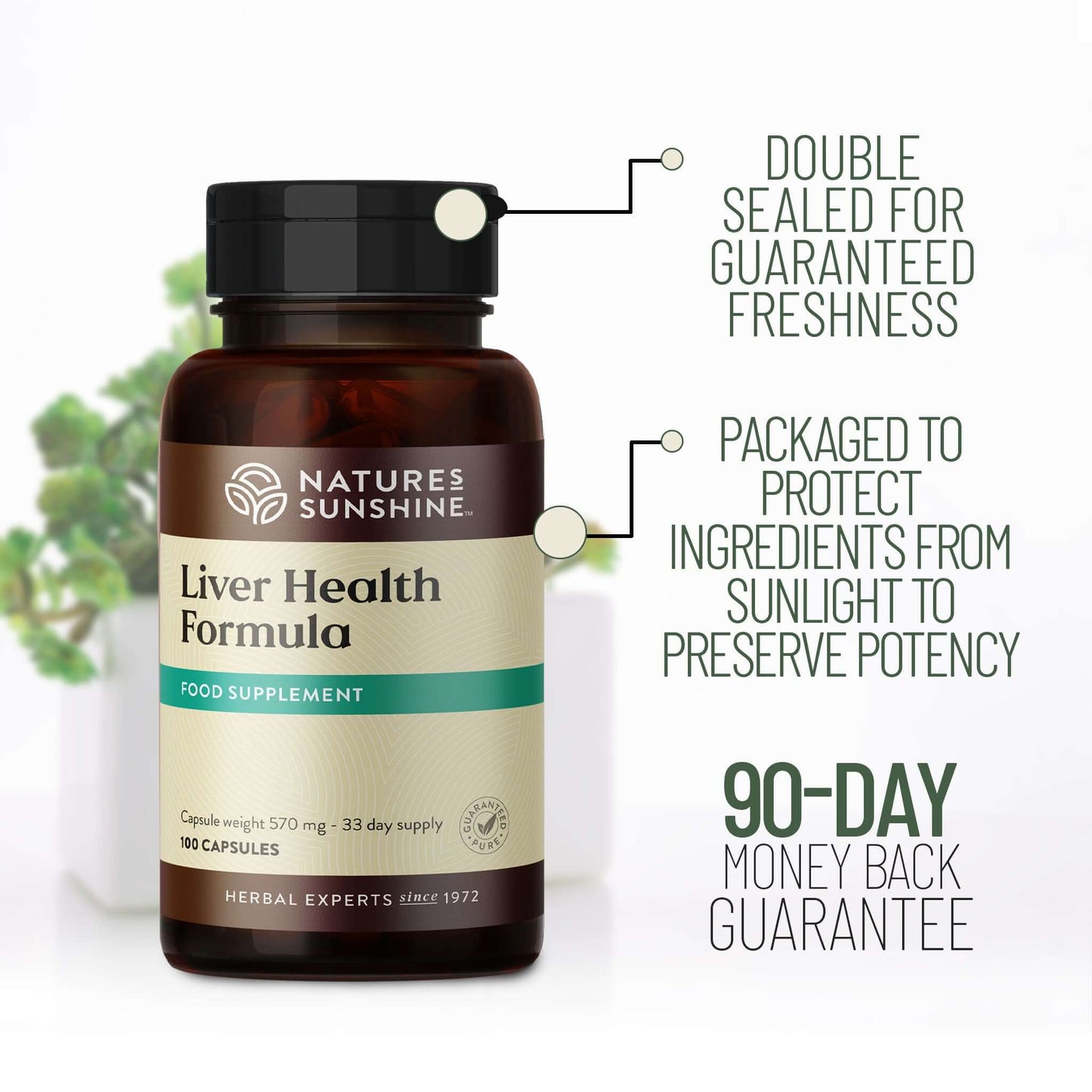 Liver Health Formula