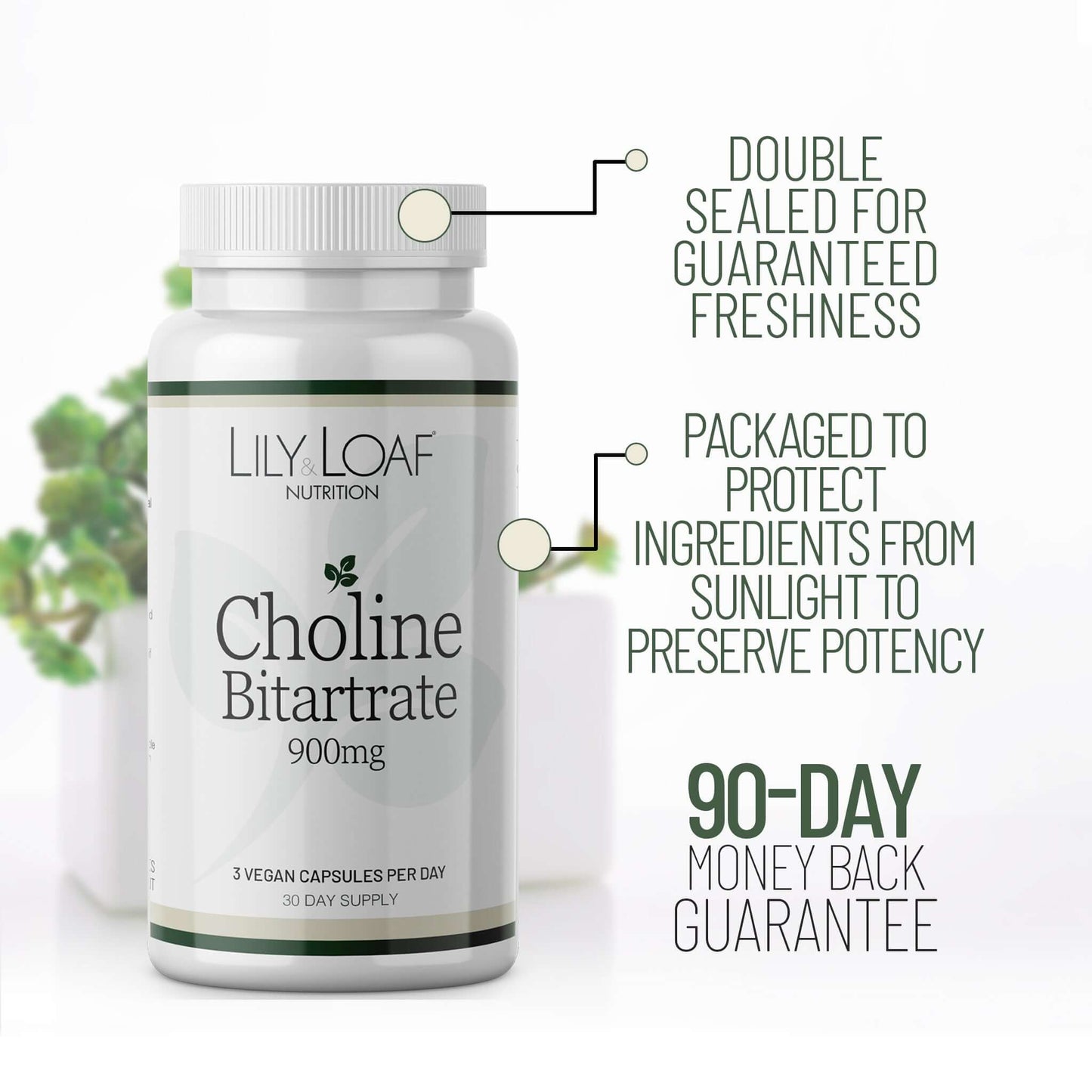 Choline Bitartrate 900mg