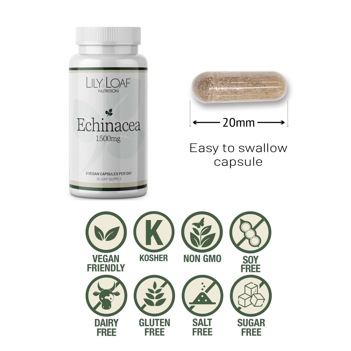 Echinacea