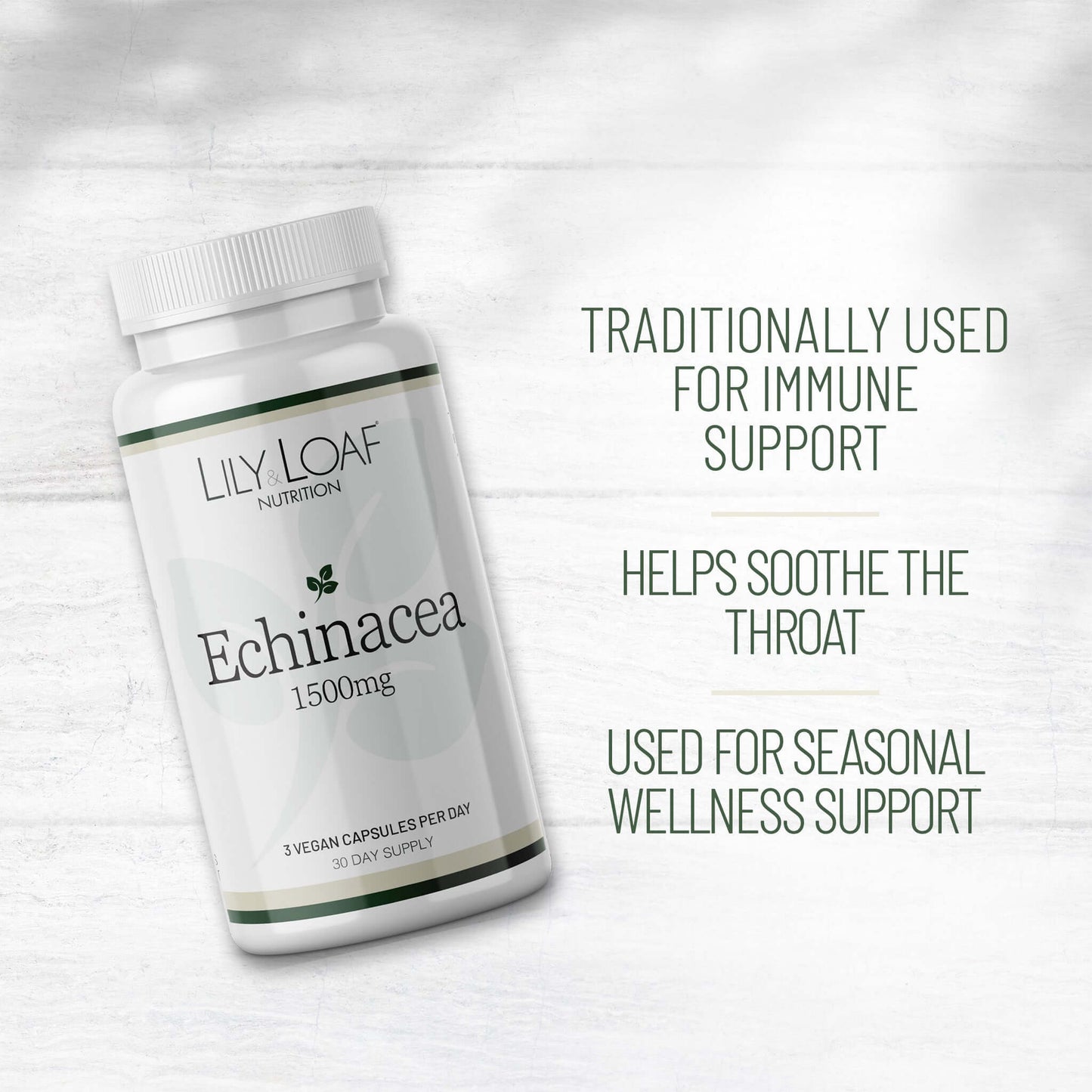 Echinacea