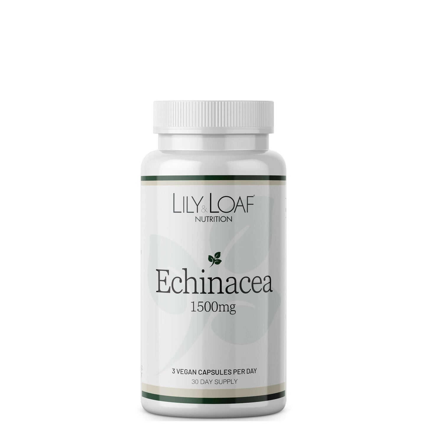 Echinacea
