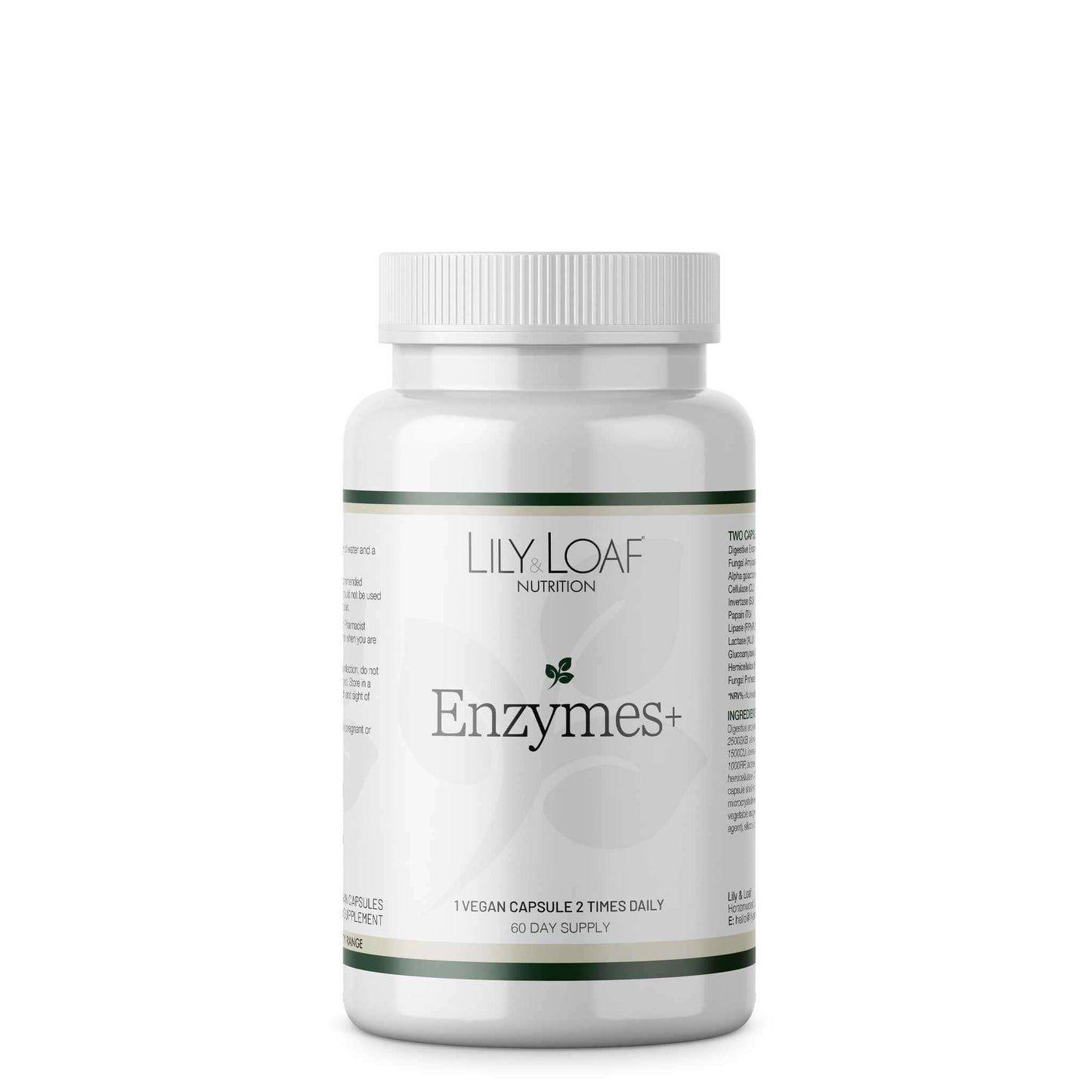 Enzymes + front