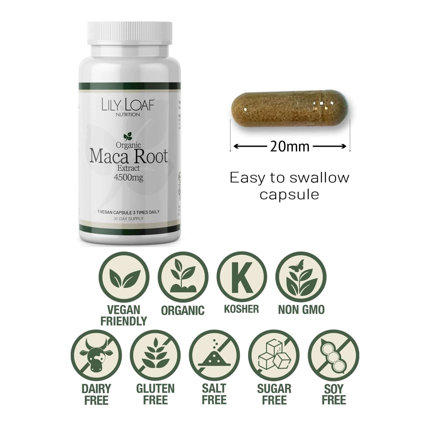Maca Root Extract