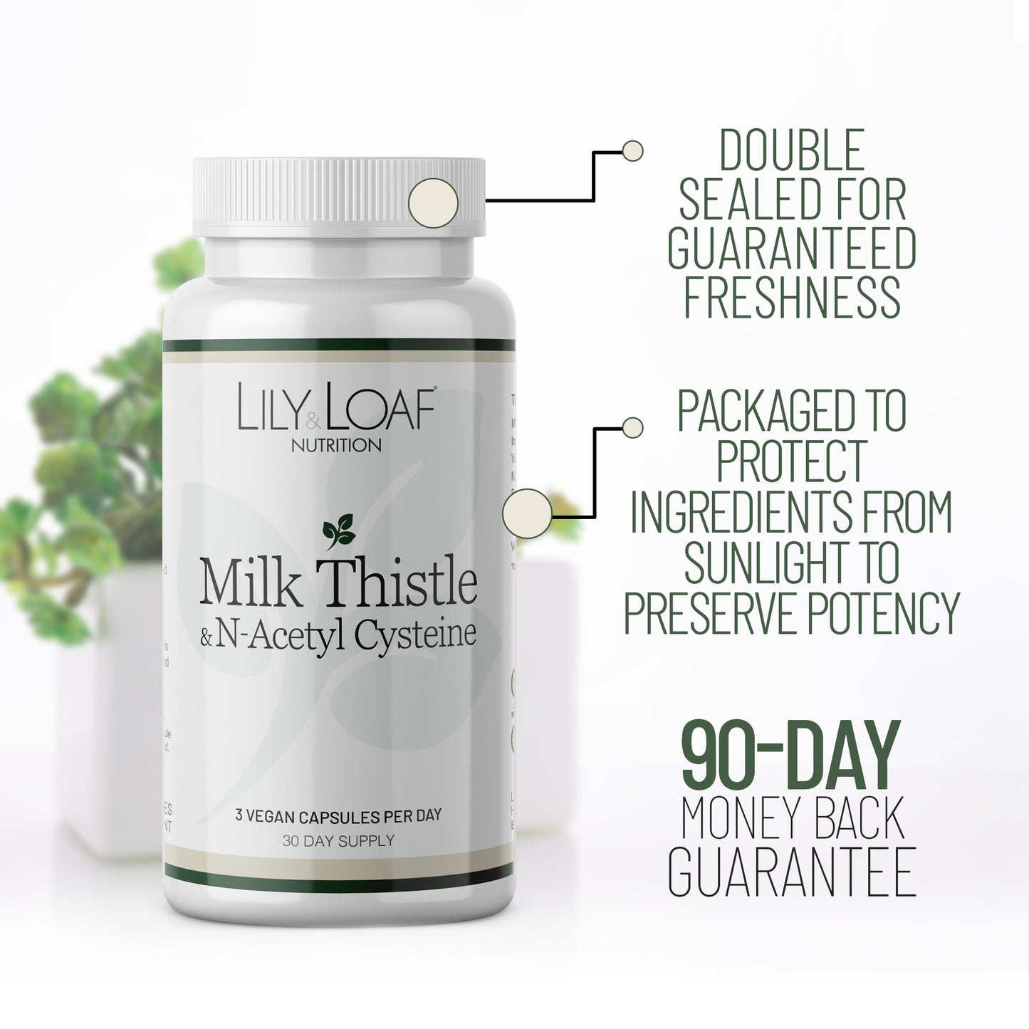 Milk Thistle & N-Acetyl Cysteine