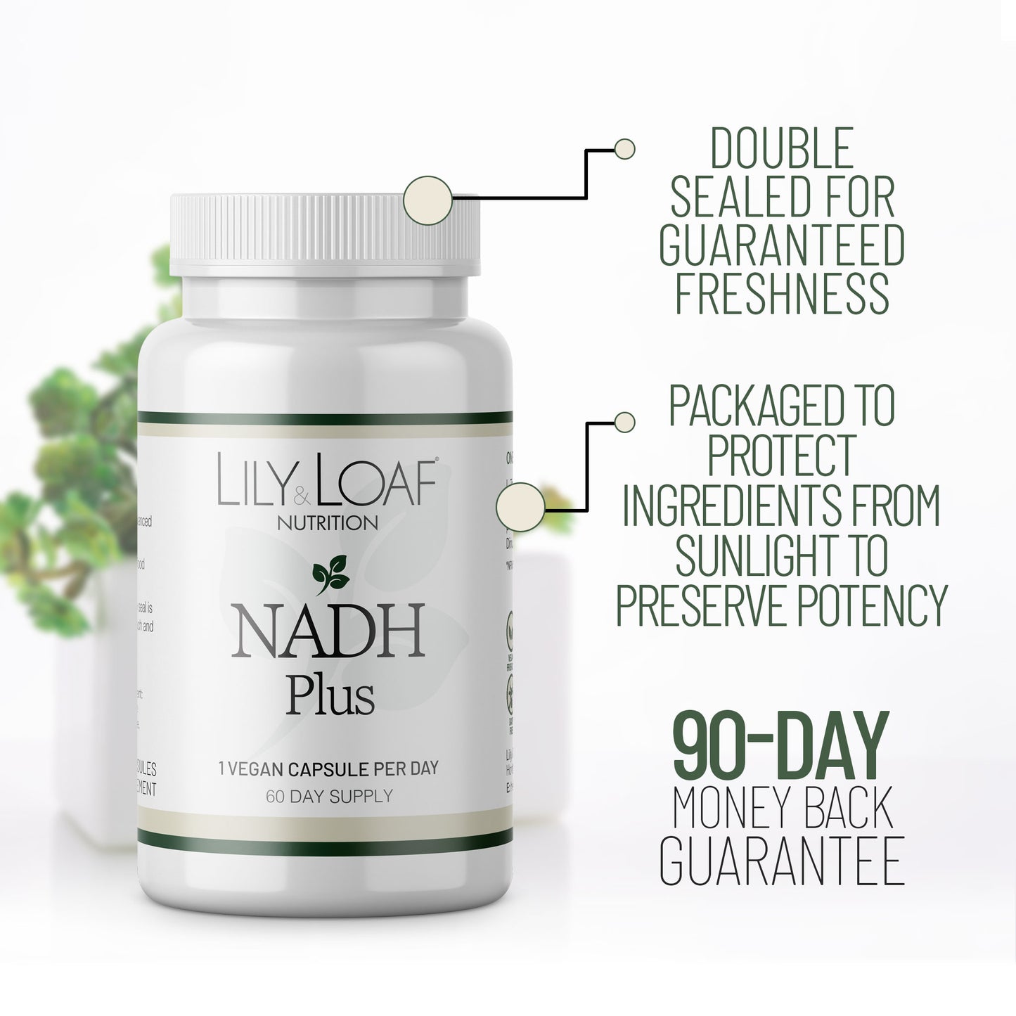 NADH Plus