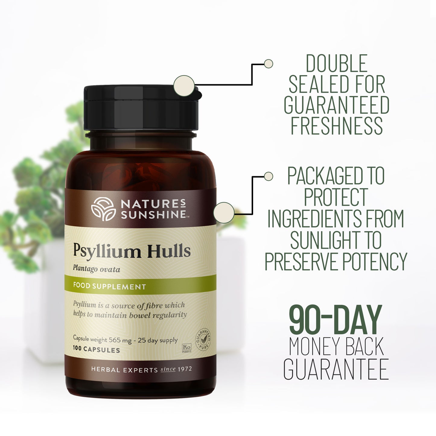 Psyllium Hulls