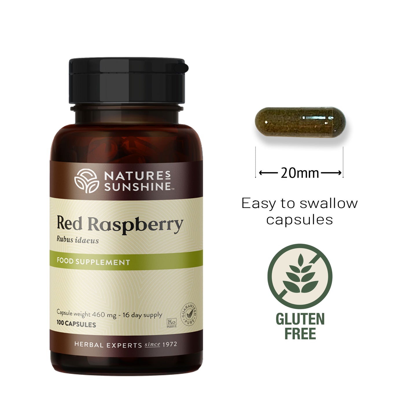 Red Raspberry