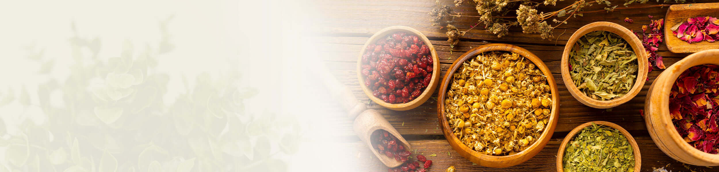 Assorted dried herbs and flowers in wooden bowls, symbolising herbal supplements for herbalists