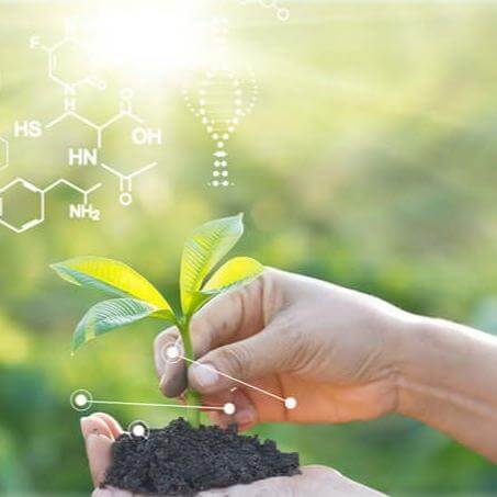 A young leaf cutting in soil being held in a hand with chemical symbols overlaid