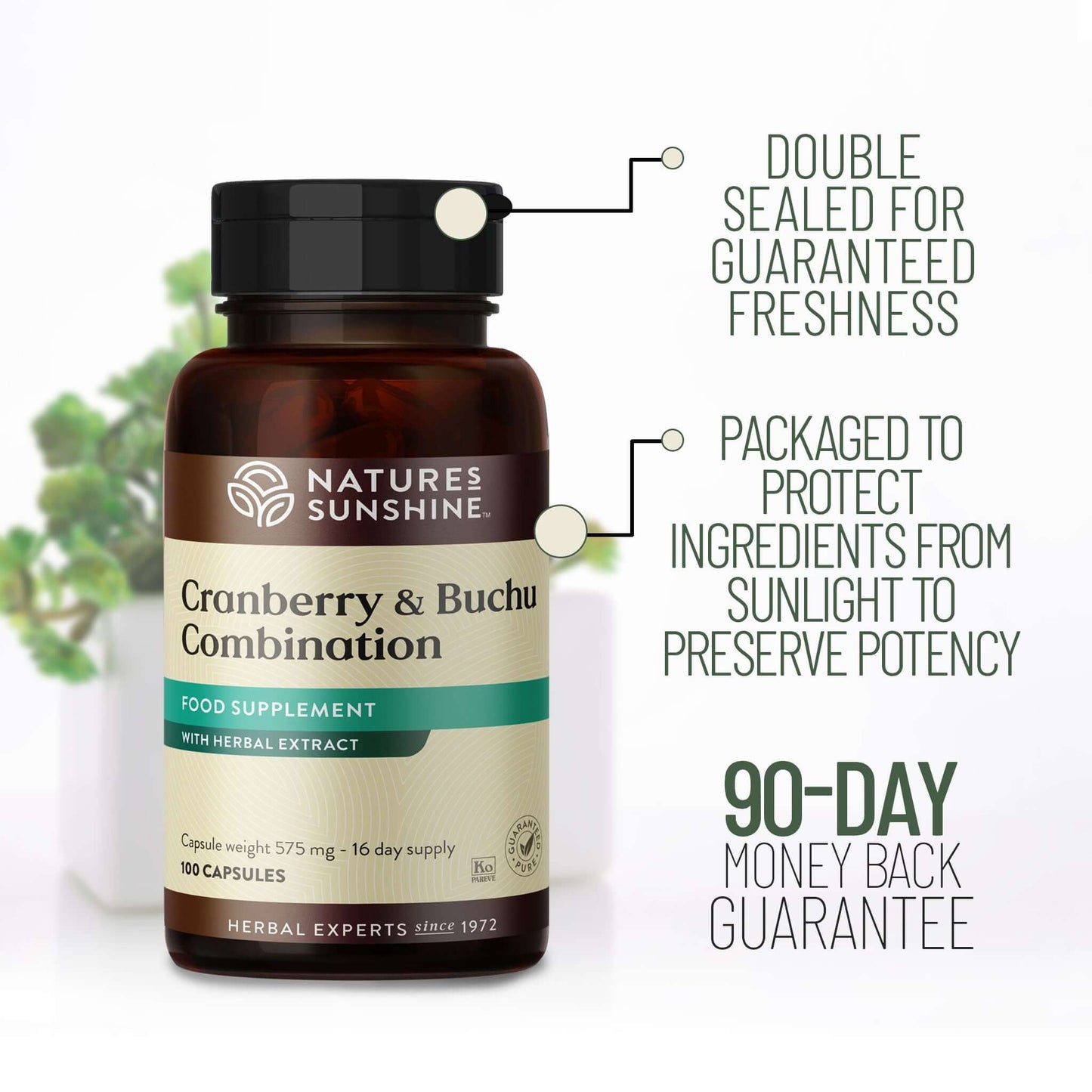 Cranberry & Buchu Combination 90 day money back guarantee