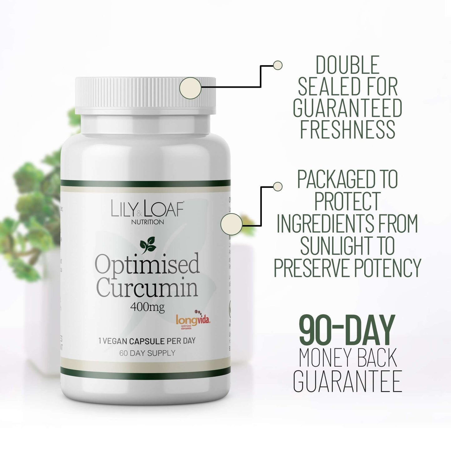 Optimised Curcumin