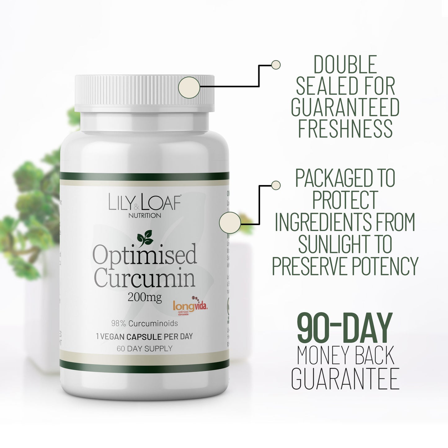 Optimised Curcumin
