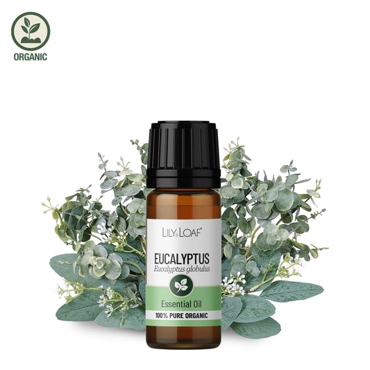 Lily & Loaf - Eucalyptus 10ml (Organic) - Essential Oil