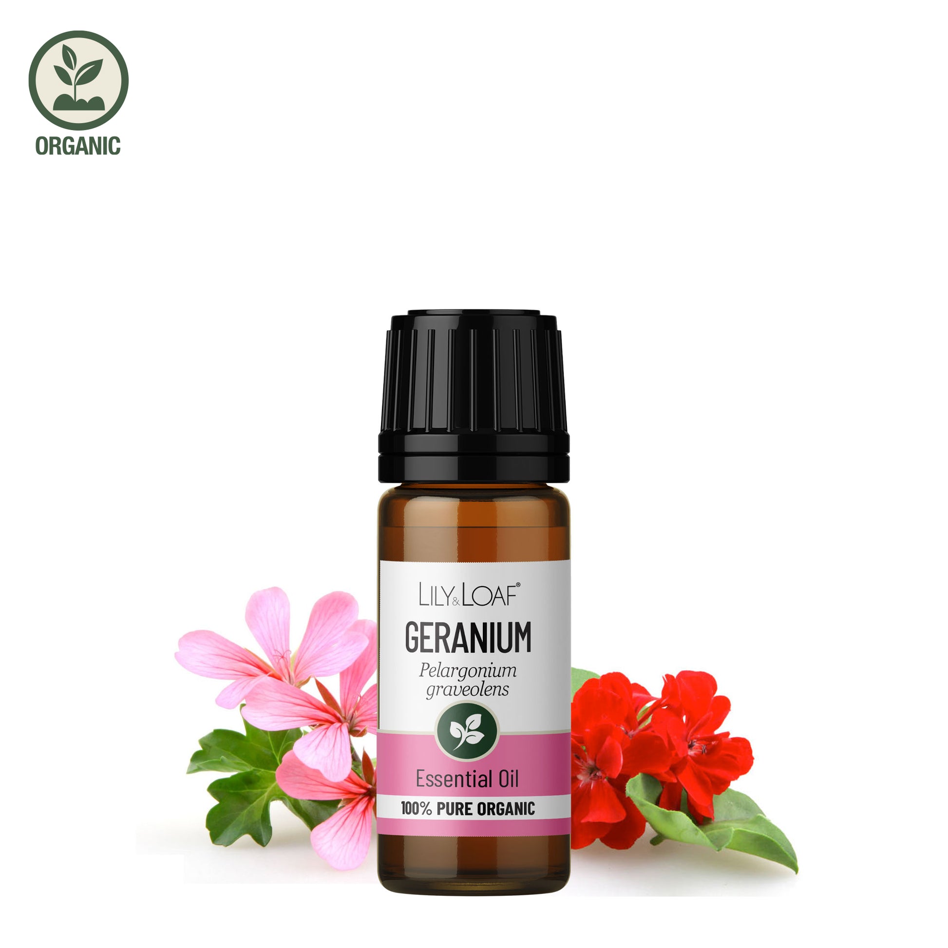 Amber 10ml Geranium essential oil bottle with pink and red geranium flowers and green leaves on white background