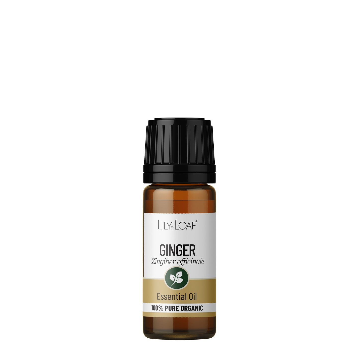 10ml amber glass bottle of Lily & Loaf Ginger Organic Essential Oil