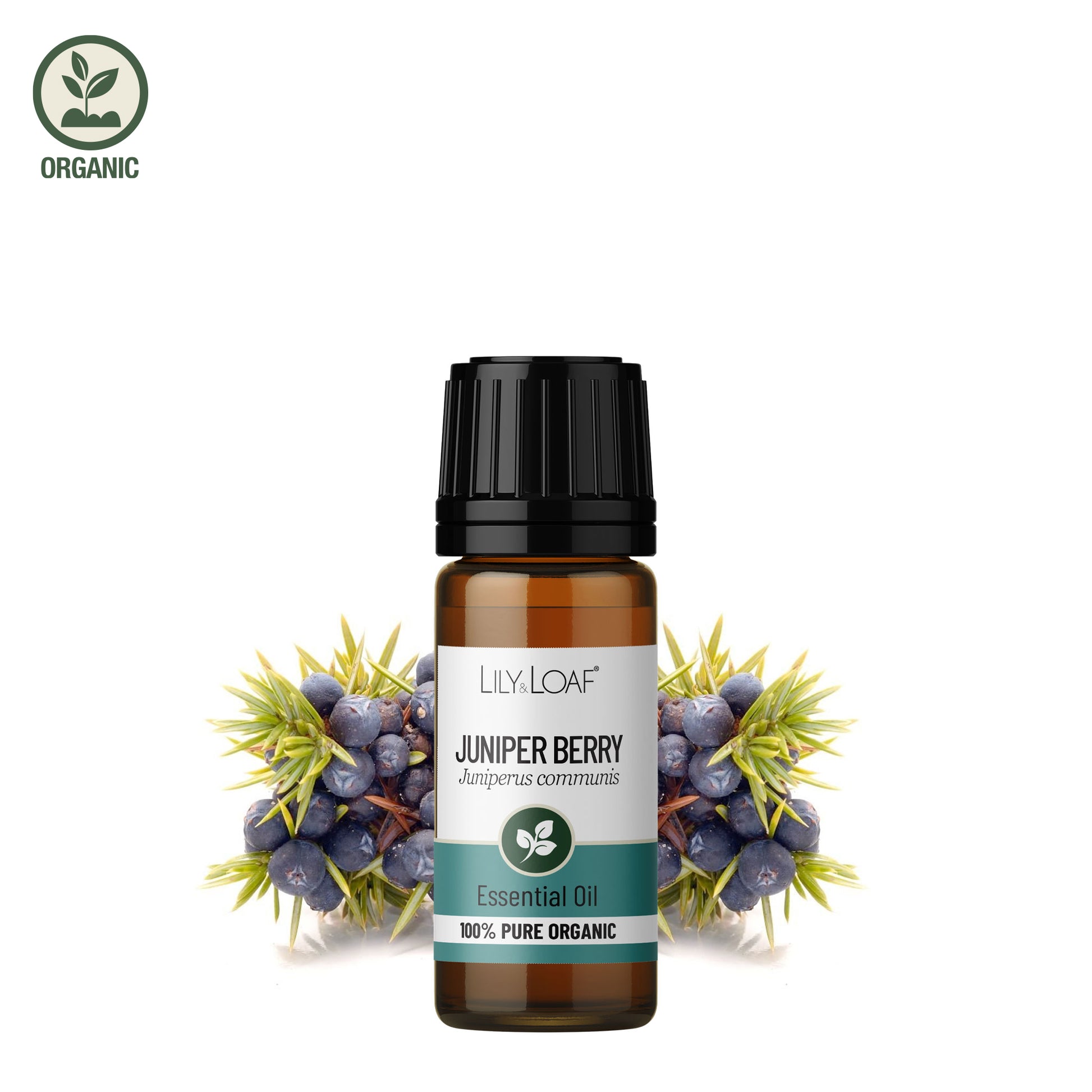 Lily & Loaf - Juniper Berry 10ml (Organic) - Essential Oil