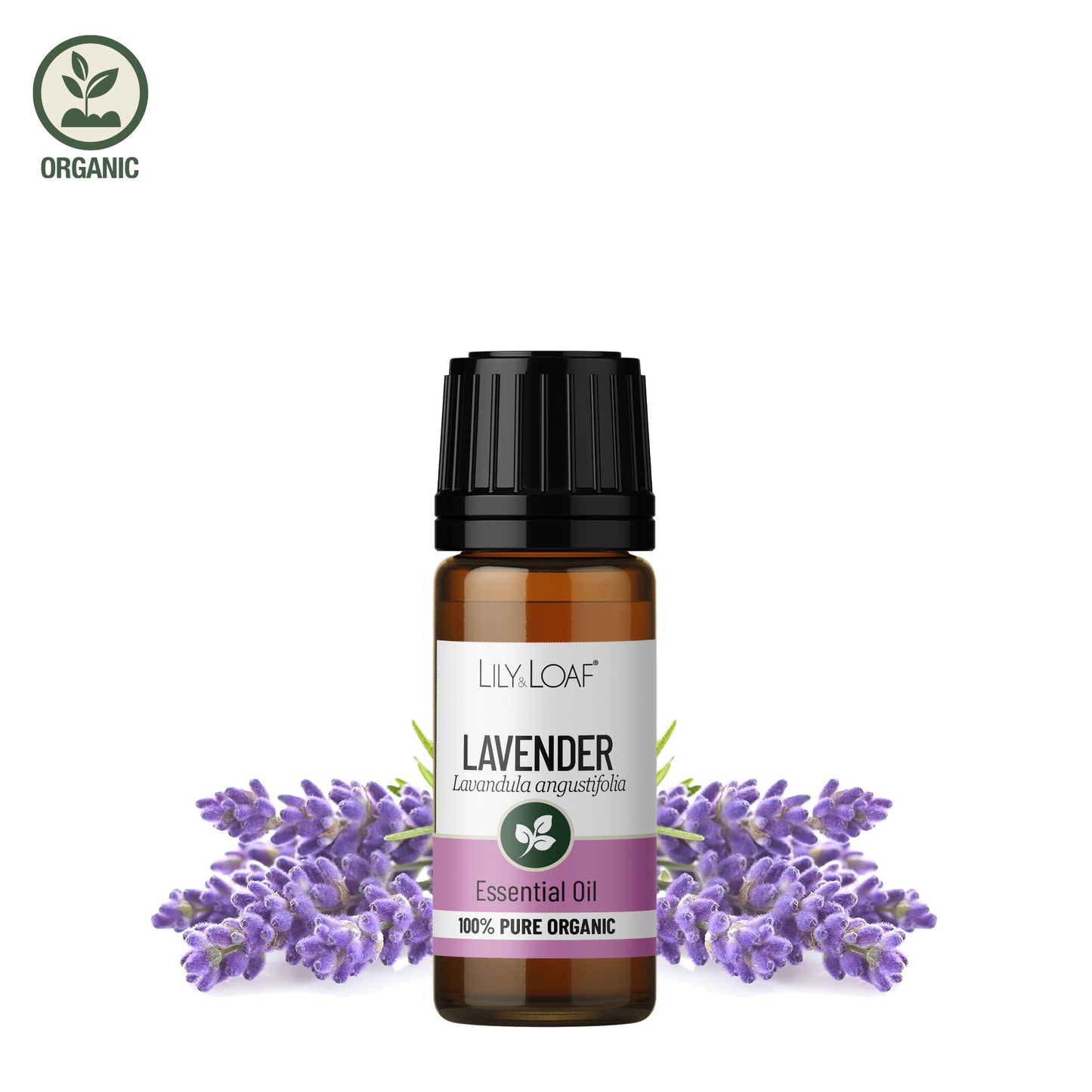 Lily and Loaf - Lavender Organic Essential Oil (10ml) - Essential Oil