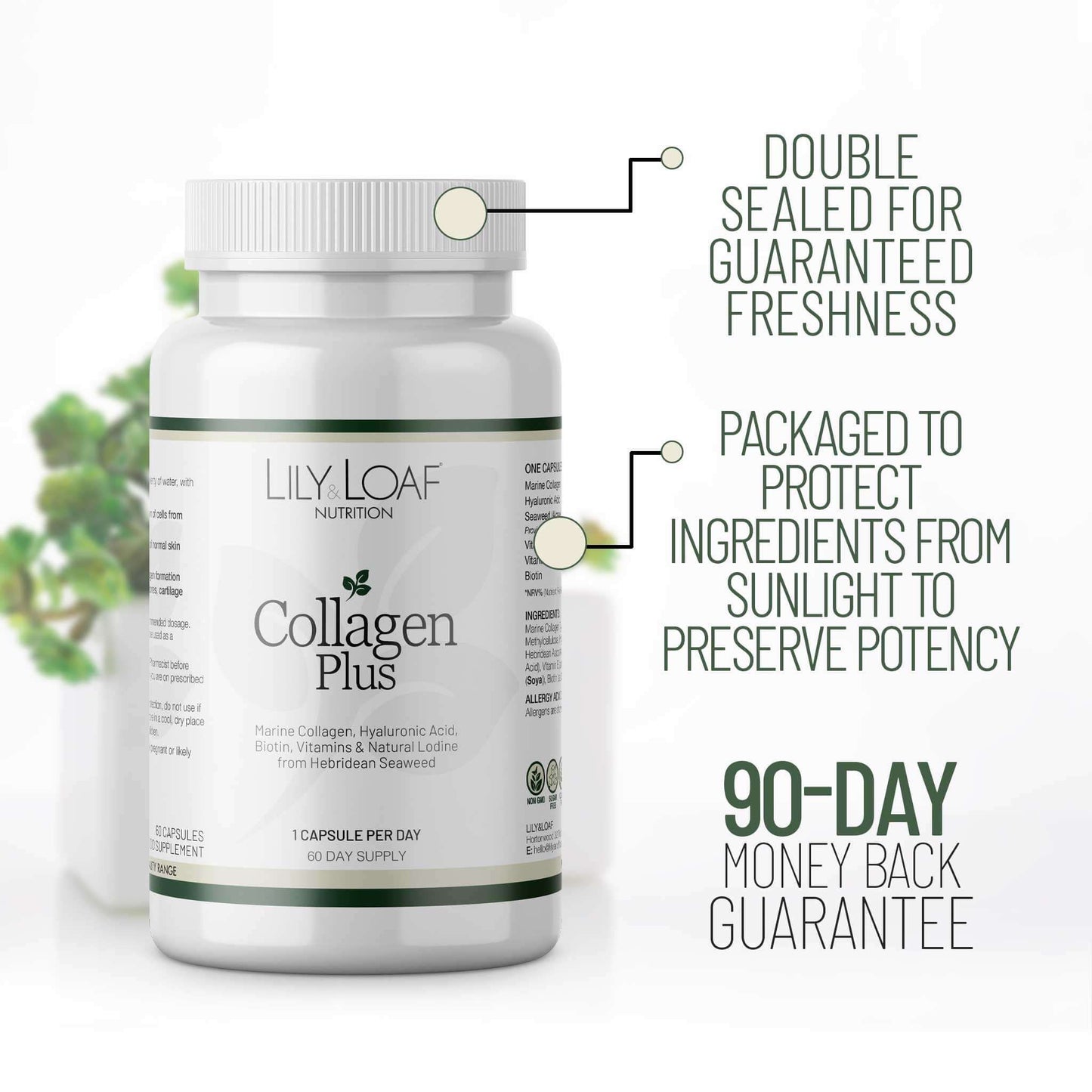 Collagen Plus packaging information and guarantee