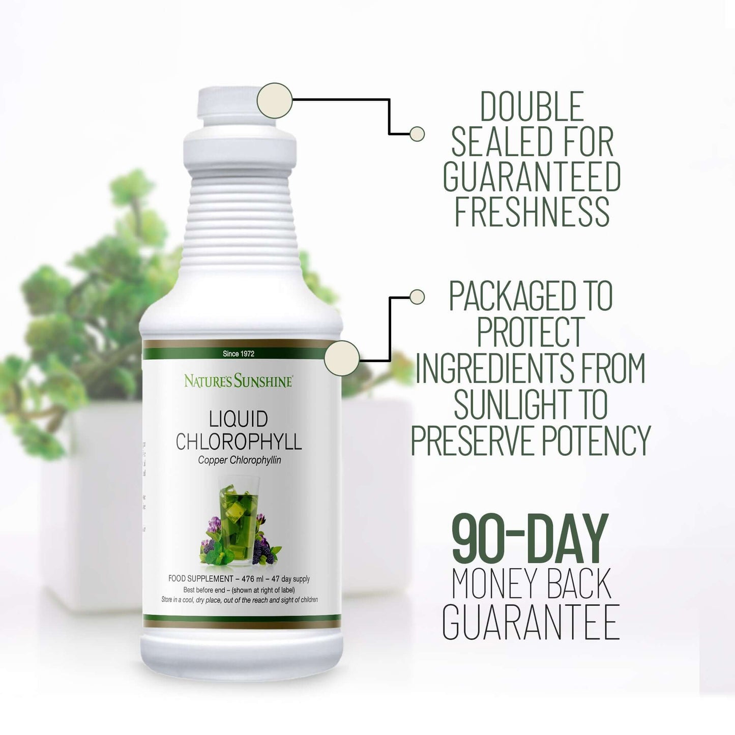 Nature’s Sunshine - Liquid Chlorophyll (476ml) - Liquid
