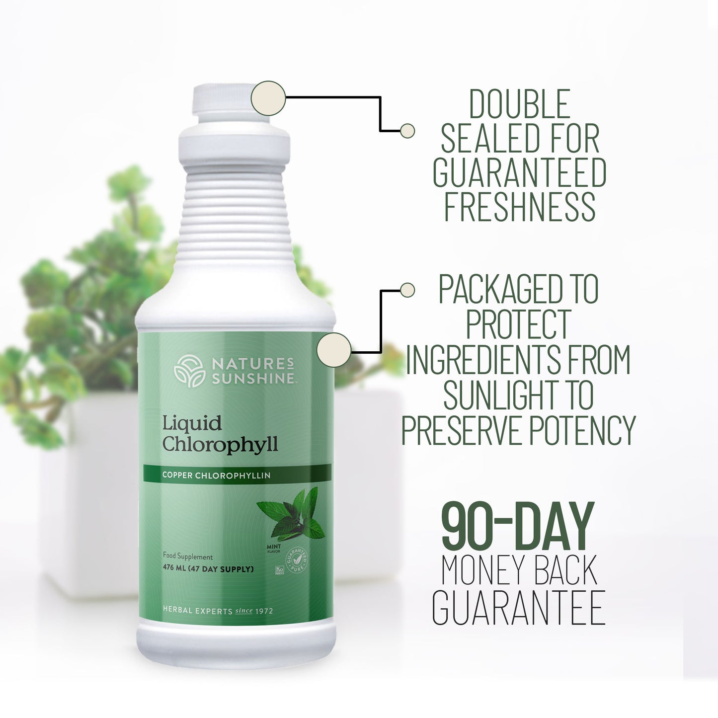 Nature’s Sunshine - Liquid Chlorophyll (476ml) - Liquid