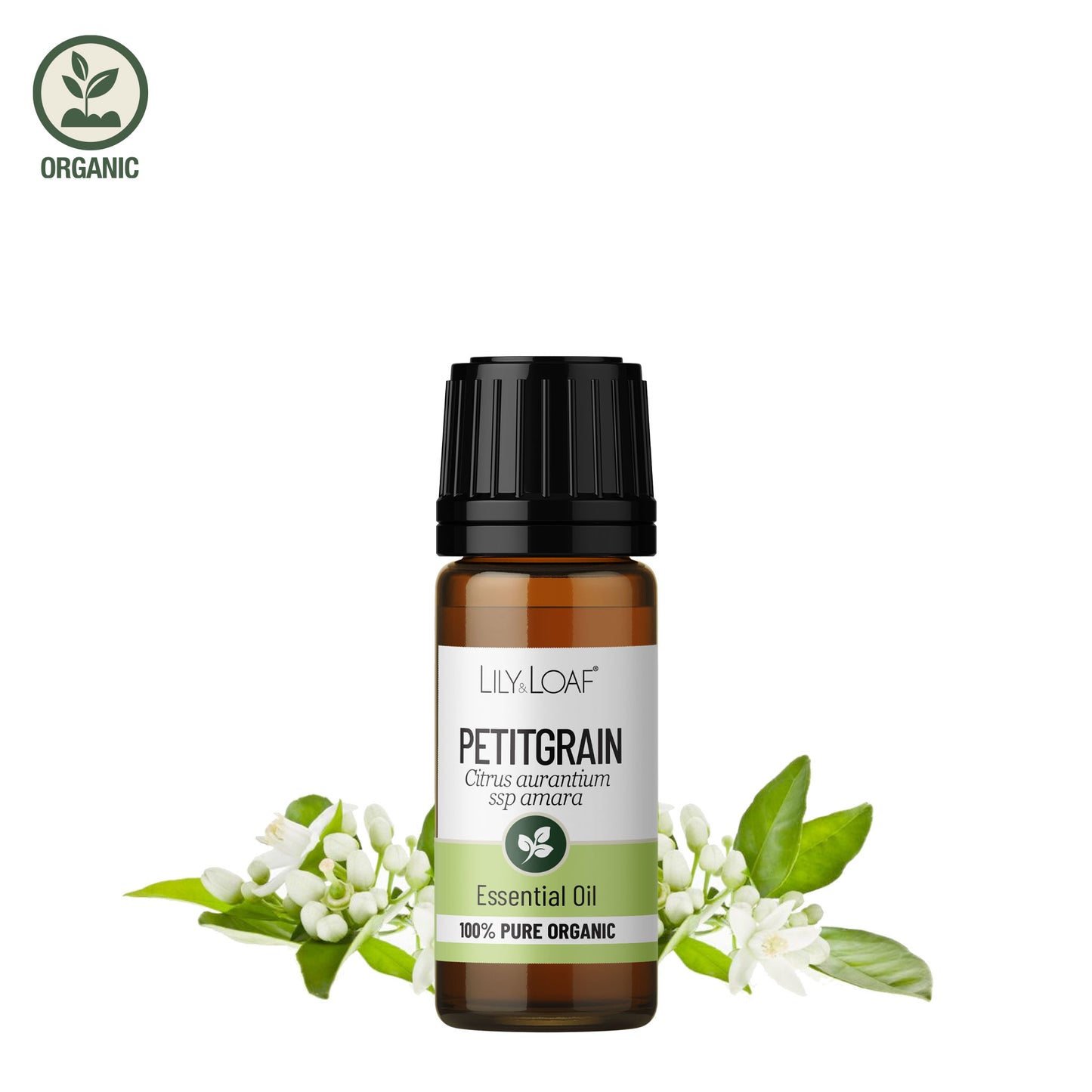 Lily & Loaf Petitgrain organic essential oil bottle with fresh citrus leaves and white blossoms on white background