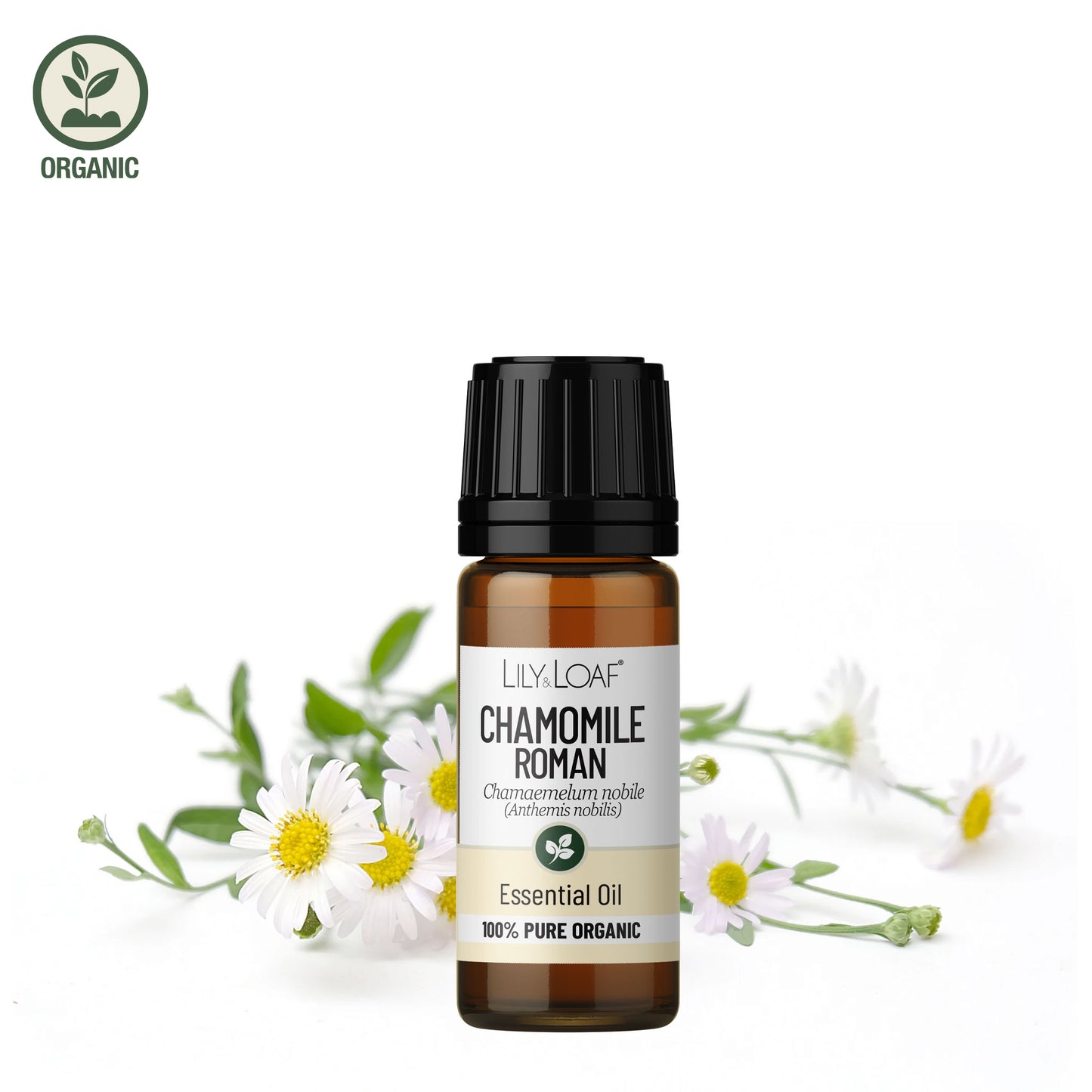 Lily and Loaf - Roman Chamomile Organic Essential Oil (10ml) - Essential Oil