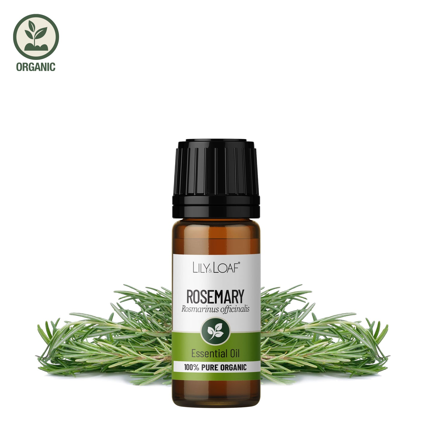 Lily and Loaf - Rosemary Organic Essential Oil (10ml) - Essential Oil