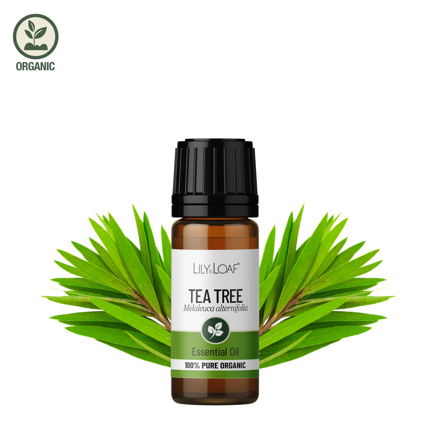 Lily & Loaf - Tea Tree 10ml (Organic) - Essential Oil