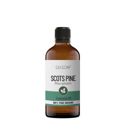 Scots Pine Organic Essential Oil