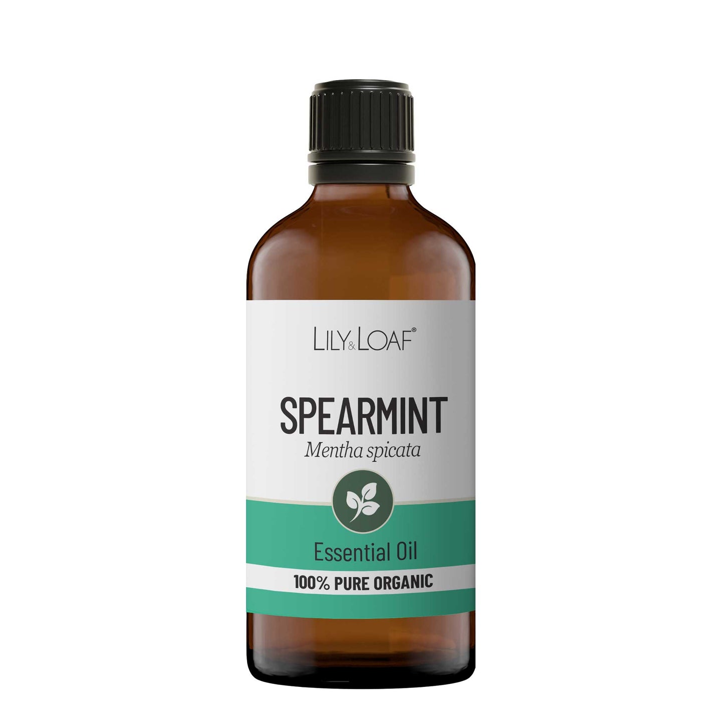 Spearmint Organic Essential Oil