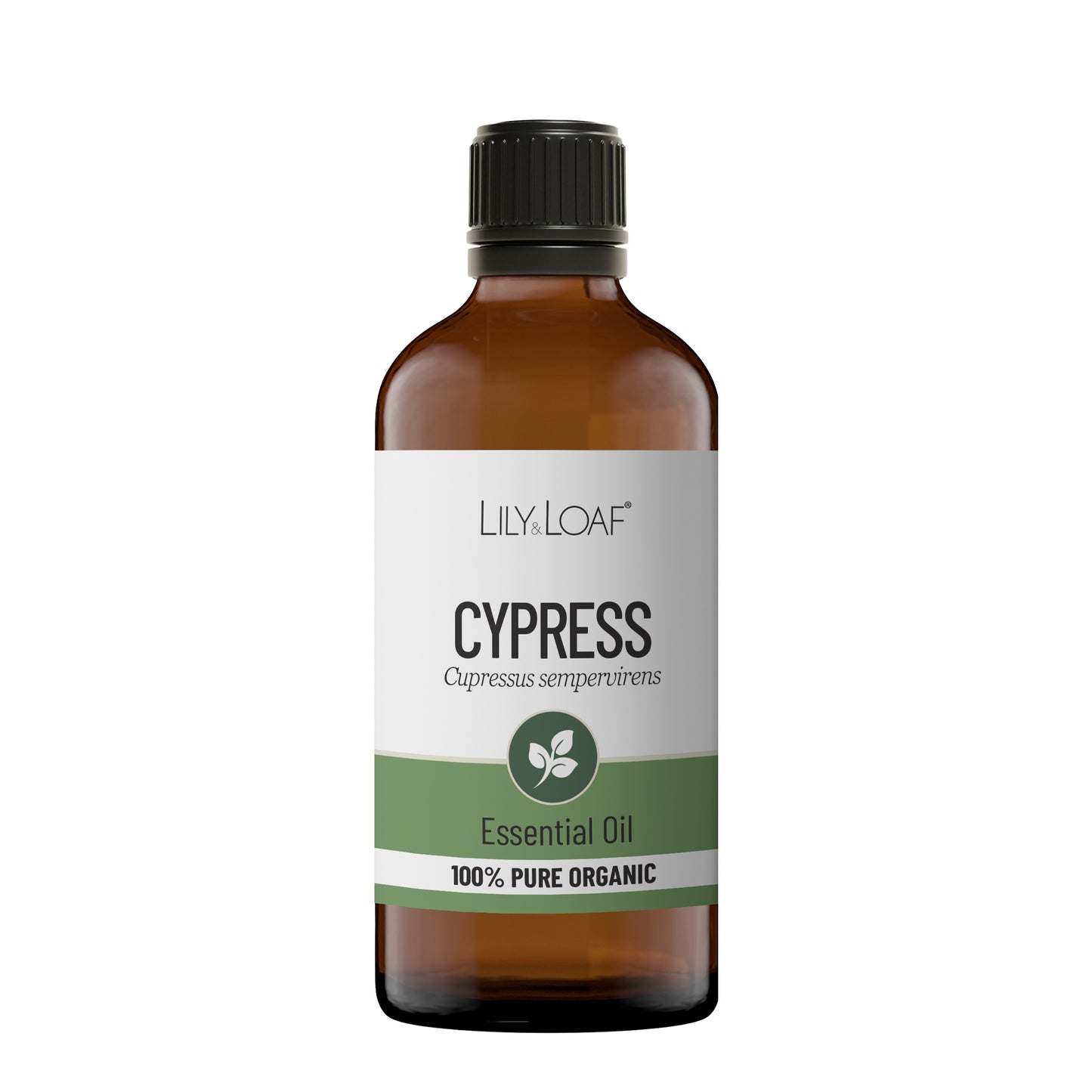 Cypress Organic Essential Oil