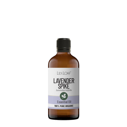 Lavender (Spike) Organic Essential Oil