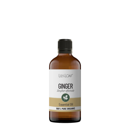 Ginger Organic Essential Oil