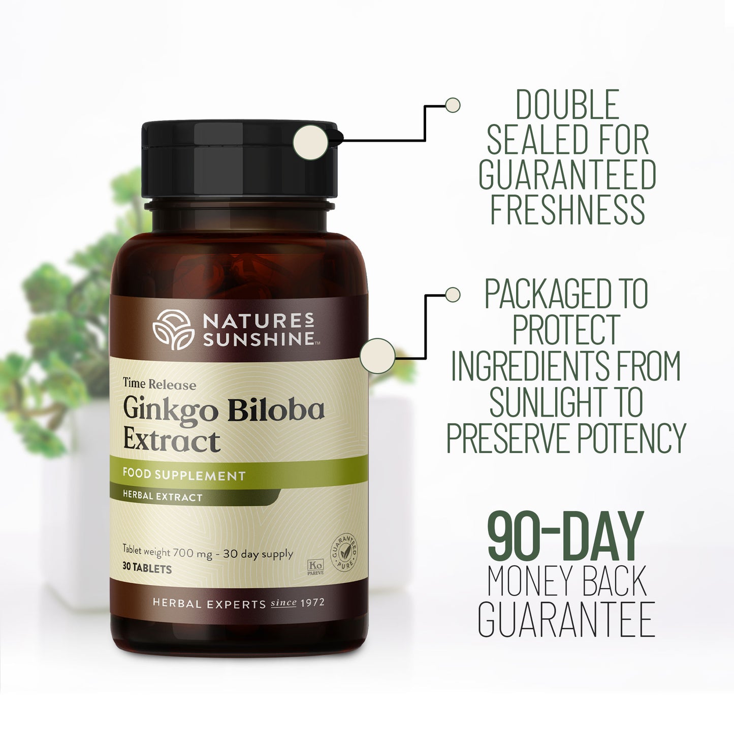 Ginkgo Biloba Extract - Timed Release