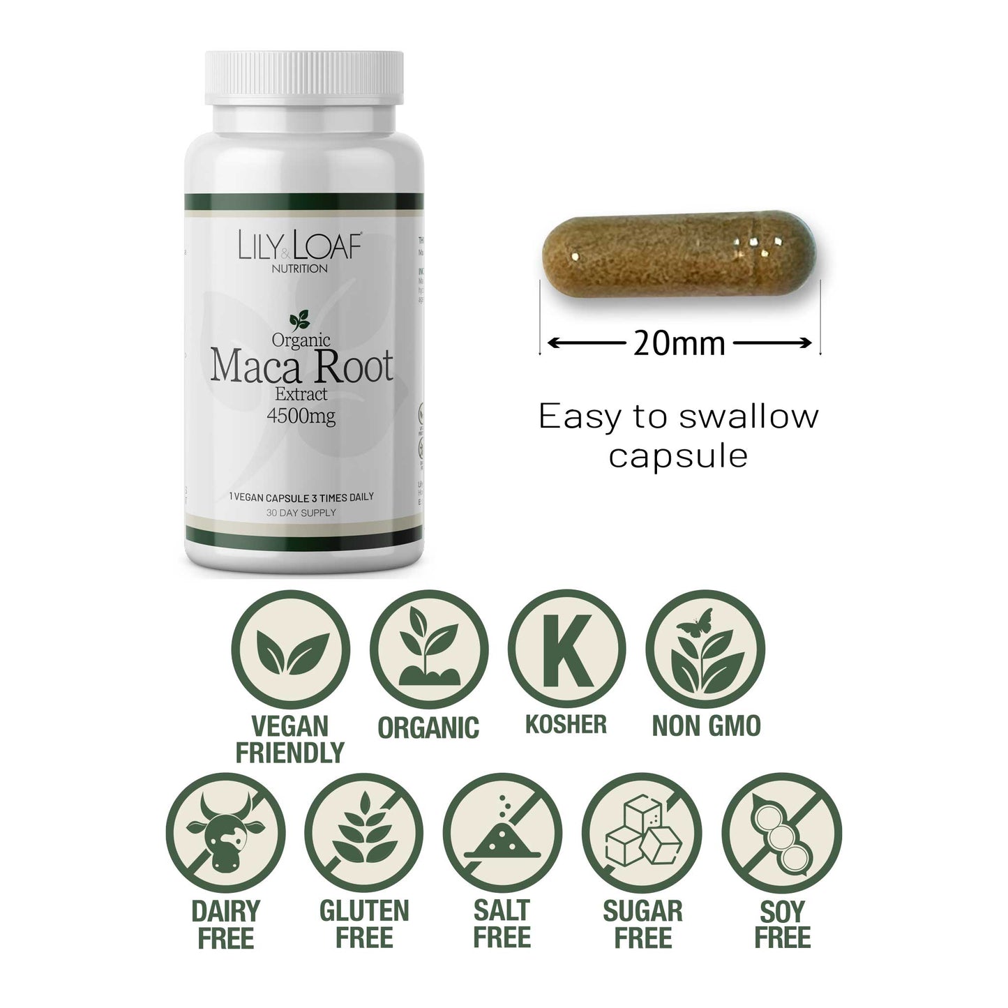 MACA Root Extract