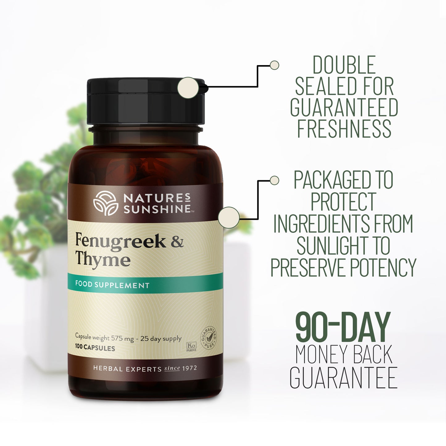 Fenugreek & Thyme