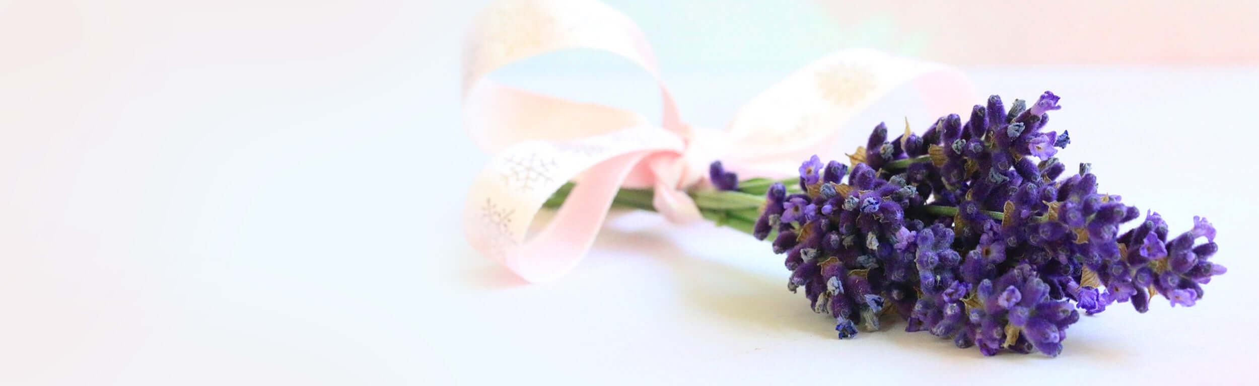 A bunch of lavender with a pink bow tied to it