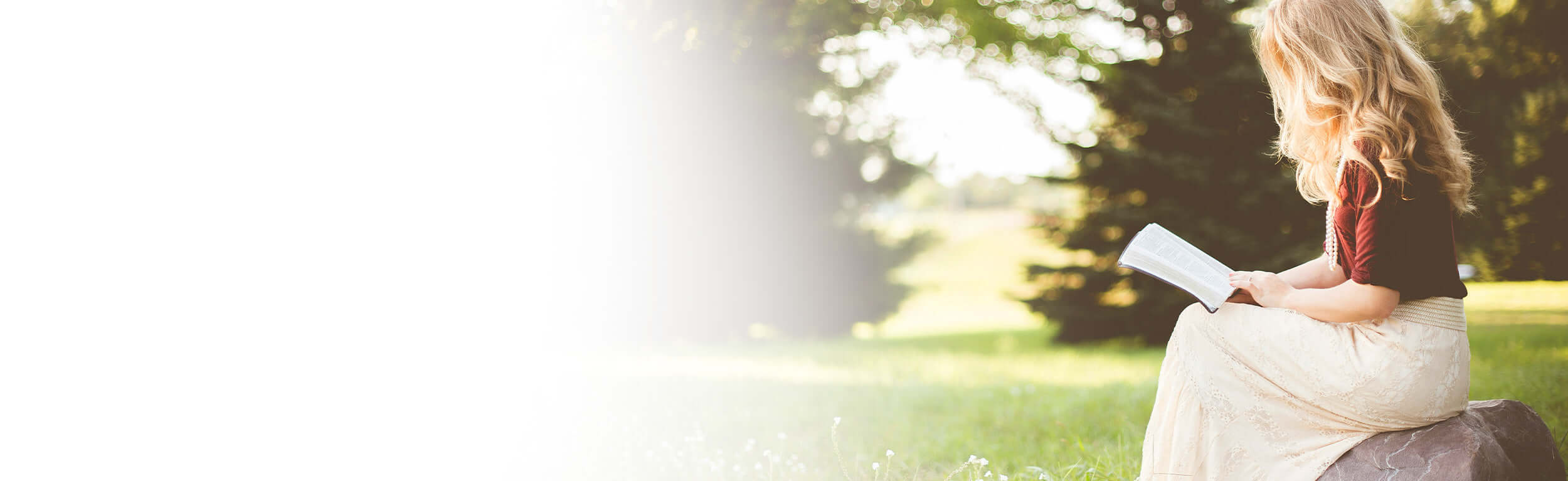 Lady sitting on a rock in a field, reading a book