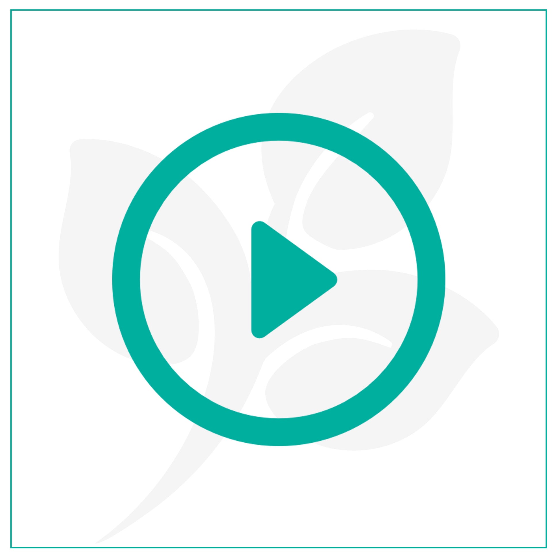 3 reasons to take Optimised Curcumin YouTube Video